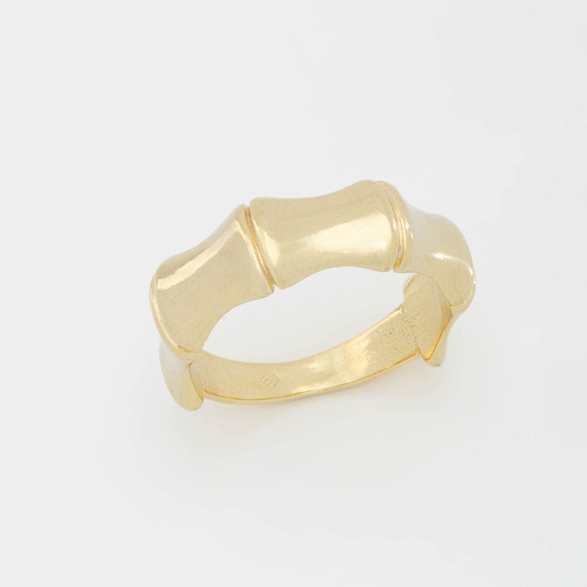 AN-00916 ANEL COM DESIGN INSPIRADO EM BAMBÚ