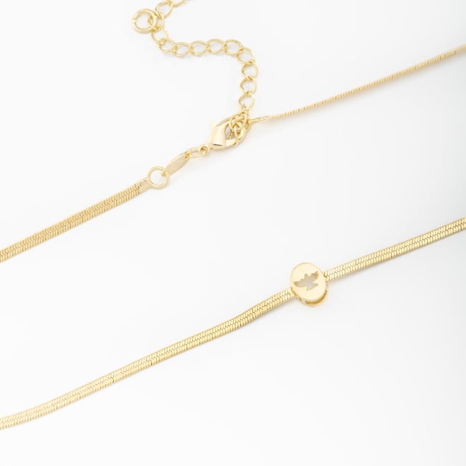 CH-0098 CHOKER ESPÍRITO SANTO LISO