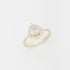 AN-01462 ANEL COM PEDRA FORMATO GOTA