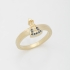 AN-01552 ANEL COM DETALHE DE NOSSA SENHORA APARECIDA EM ZIRCÔNIAS