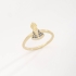 AN-01670 ANEL COM DETALHE DE NOSSA SENHORA APARECIDA COM PEDRAS AZUIS