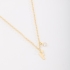 GR-02037 COLAR BANHADO A OURO 18K COM PINGENTE DE LETRA E DETALHE EM ZIRCÔNIA