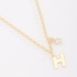 GR-02037 COLAR BANHADO A OURO 18K COM PINGENTE DE LETRA E DETALHE EM ZIRCÔNIA
