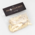 KDV-0009 KIT COM 20 TARAXAS BANHADAS A OURO 18K PARA BRINCOS EARCUFF