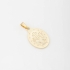 PG-00073 PINGENTE BANHADO A OURO 18K DE NOSSA SENHORA DAS GRAÇAS