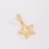 PG-00219 PINGENTE BANHADO A OURO 18K EM ESTRELA COM DETALHES CRAVEJADOS