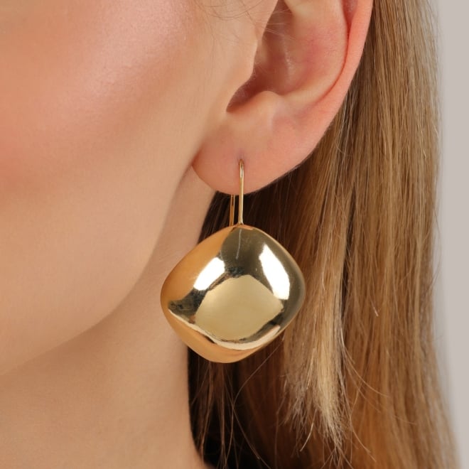 AQ-00167-ARGOLA GANCHO COM CHAPA ORGÂNICA