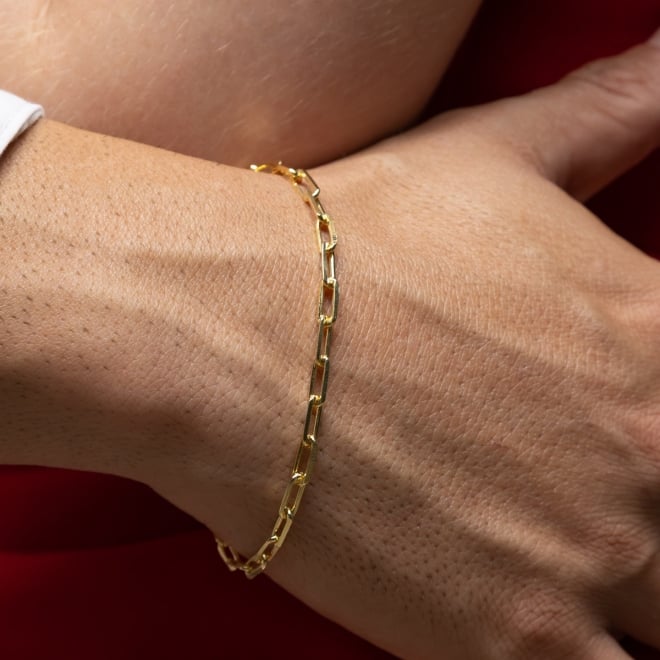 PR-0009 PULSEIRA CARTIE