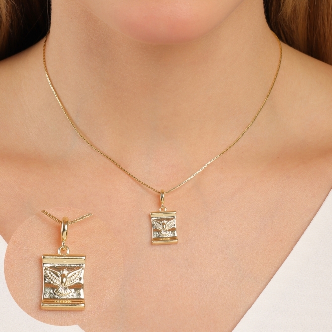 PG-00214 PINGENTE BANHADO A OURO 18K COM ESPÍRITO SANTO 